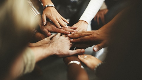 359058 ramini immigration law firm