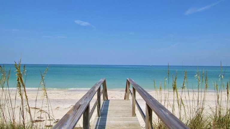 360072 rappel health law group p.l 768x432