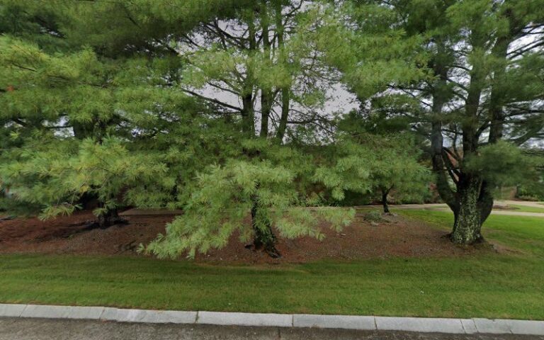 360427 ravech murphy 768x480