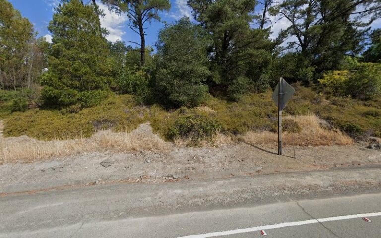 361276 rebecca conradi 768x480