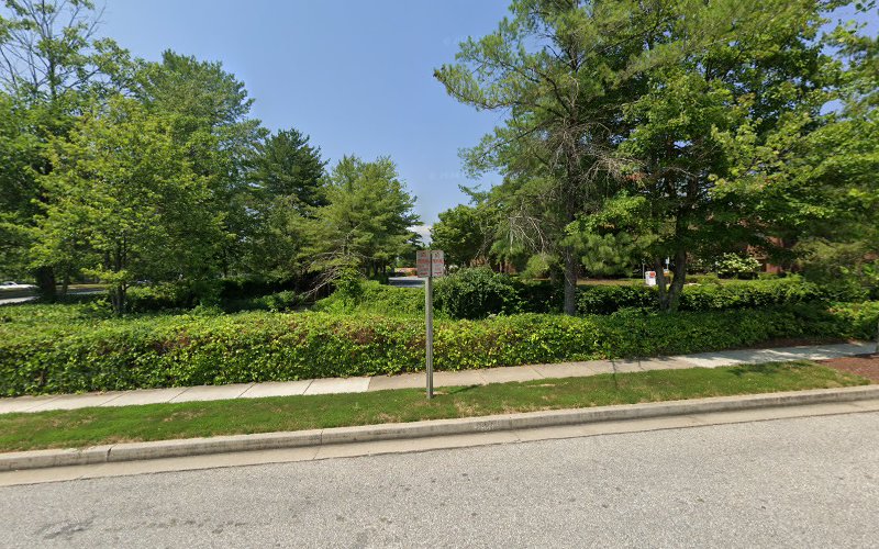 361980 reese carney llp didonato michelle