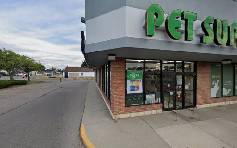 362582 reina mark 768x480