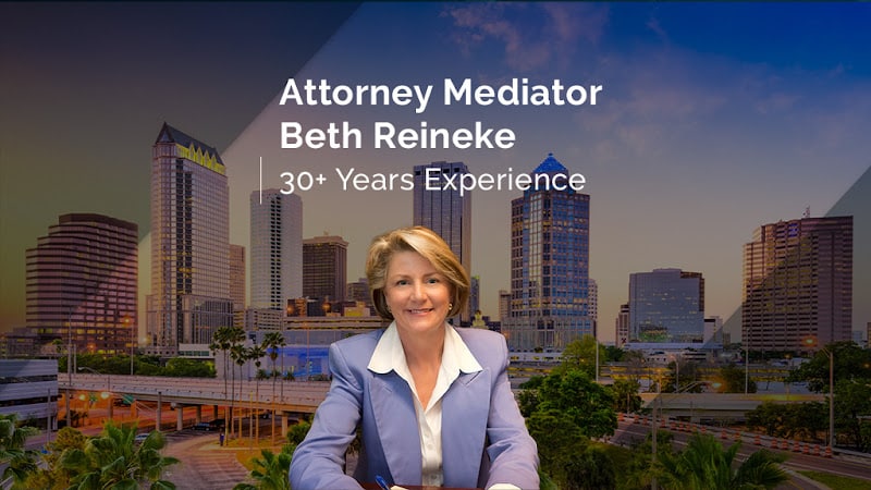 362589 reineke mediations