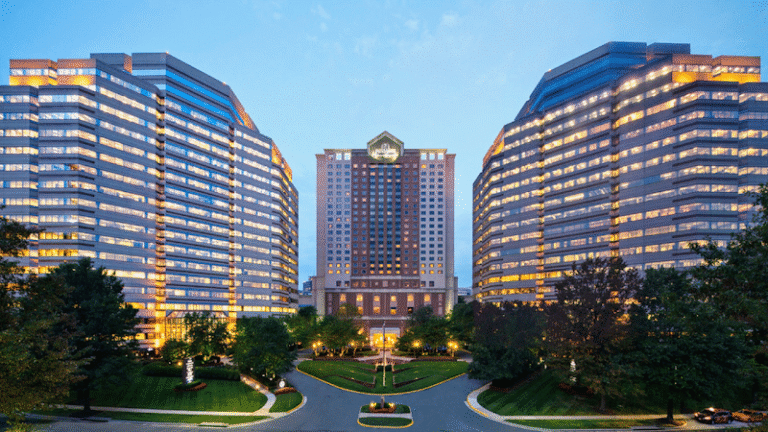 362746 rejali law group 768x432