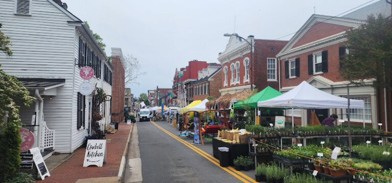 362925 renee berard law pc 768x359