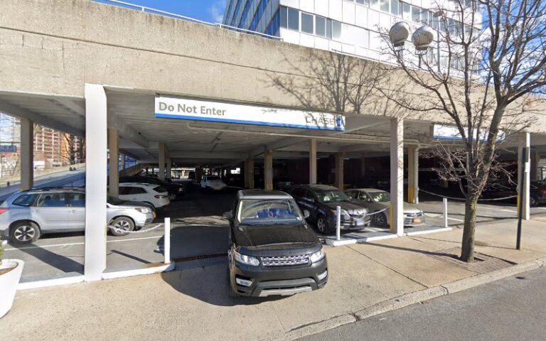 364152 rice rice 768x480