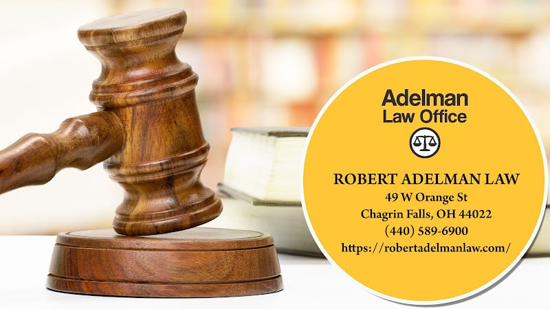 368203 robert adelman law