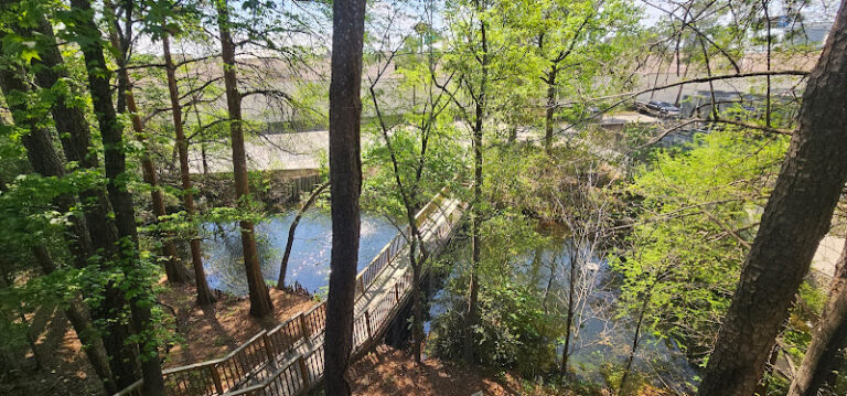 36855 ammerman matthew h 768x359