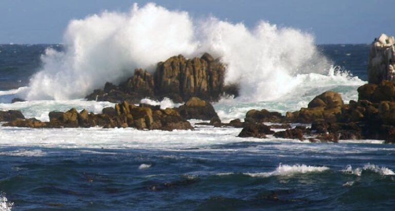 368558 robert d. simpson 768x410