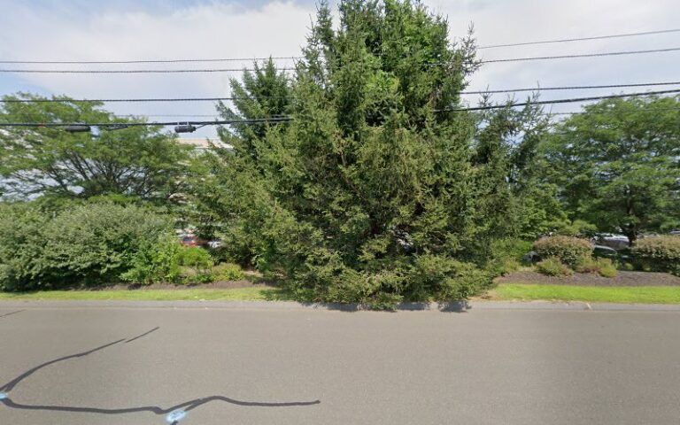 371377 roche pia llc 768x480