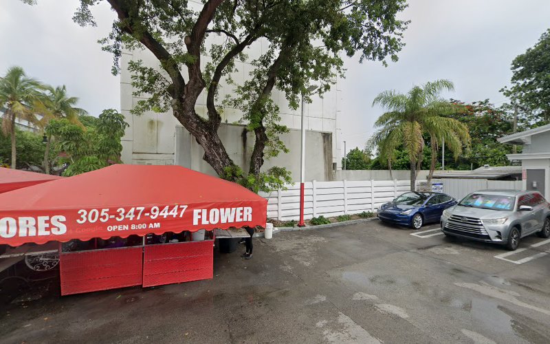 372060 roffe immigration law