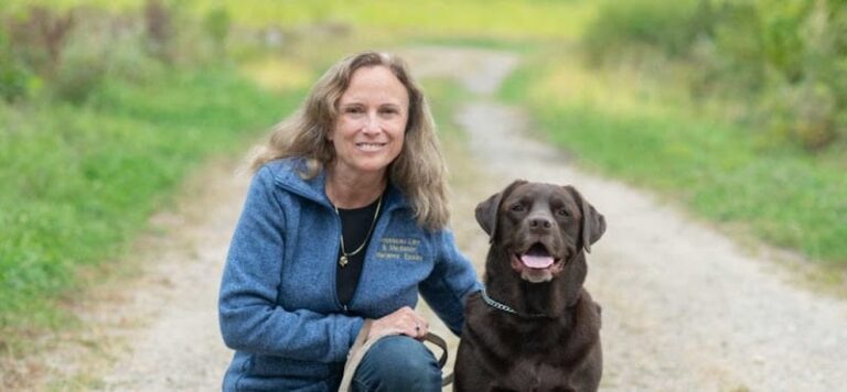 375233 rousseau law mediation pllc 768x356