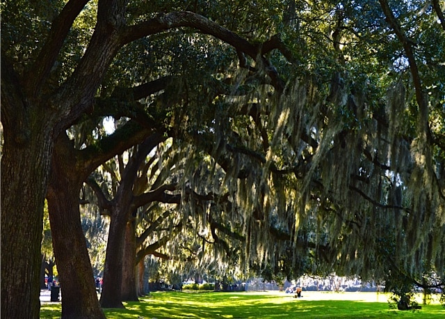 375994 rubnitz thompson ziblut