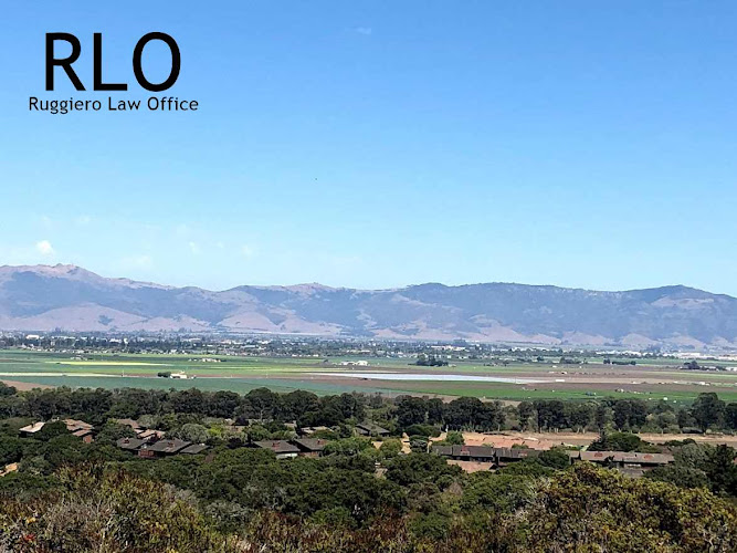 376329 ruggiero law office