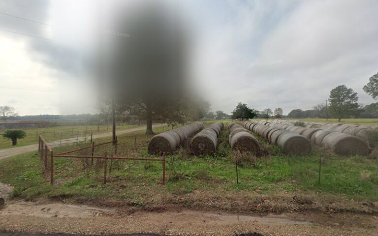 Feature image