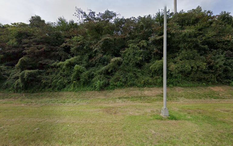 379562 sams melissa 768x480