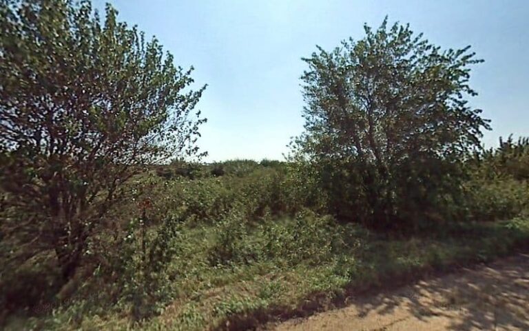 380550 sandy nathan law office 768x480