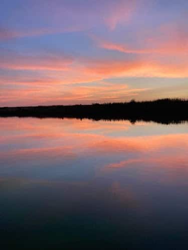 380654 sangisetty law firm llc