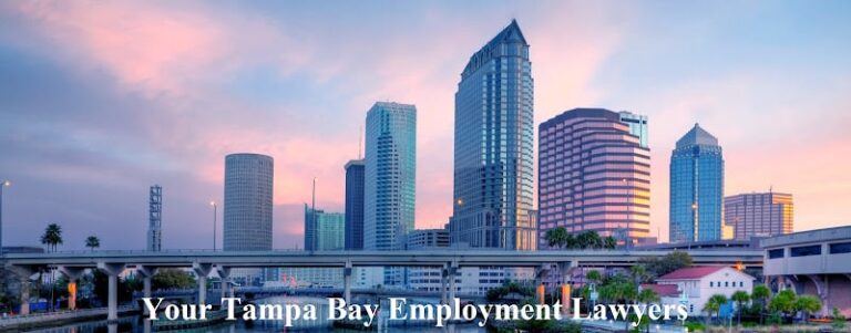 381492 sass law firm 768x301