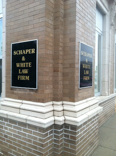 382331 schaper white