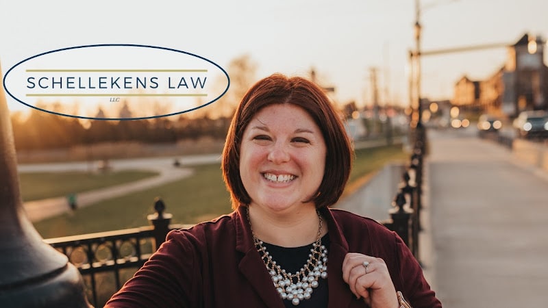 382490 schellekens law llc