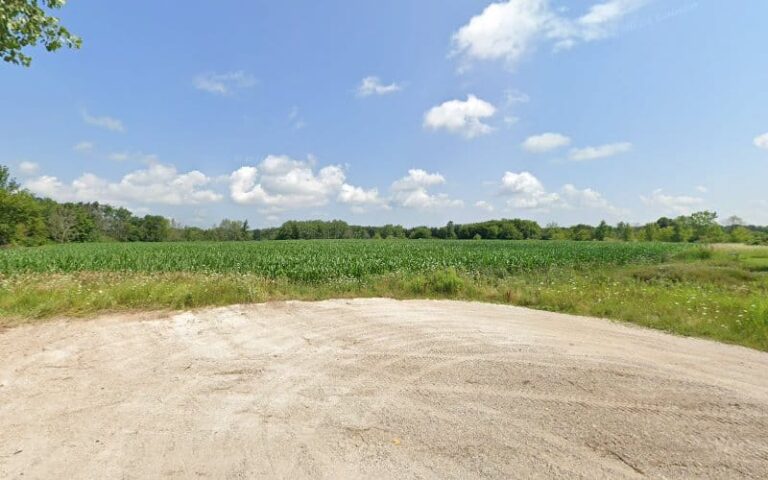 382930 schleisner susan 768x480