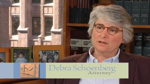 383418 schoenberg family law group p.c. 8211 divorce attorneys