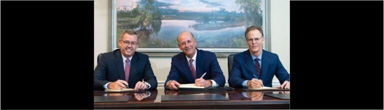 384411 schwed adams mcginley p.a 768x220