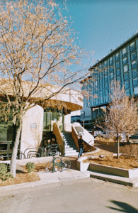 Feature image