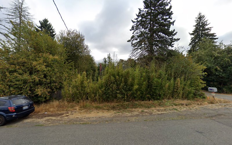 385205 scott m haapala pllc