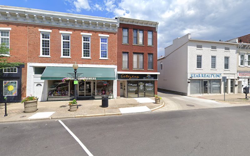 386517 seif mcnamee llc