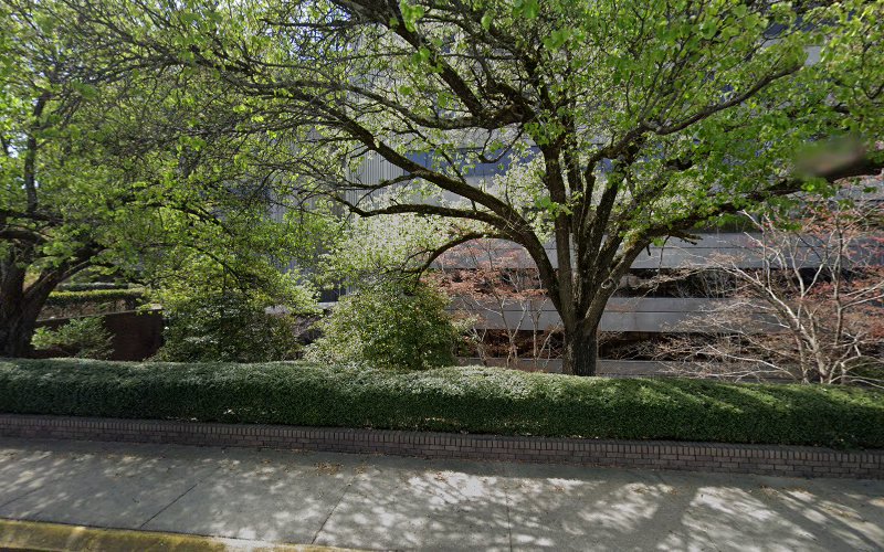 386654 selden thomas l