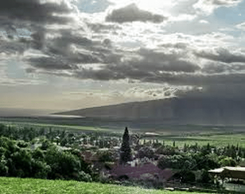 386704 self help legal doc prep of hawaii