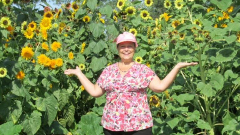 386708 self help legal services p.a 768x432