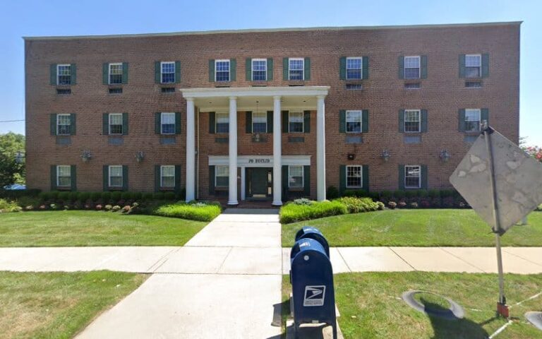 388105 shainberg viola 768x480