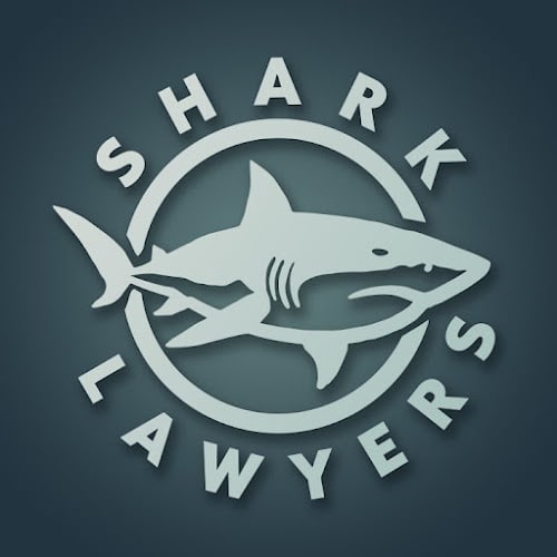 388699 shark lawyers for men