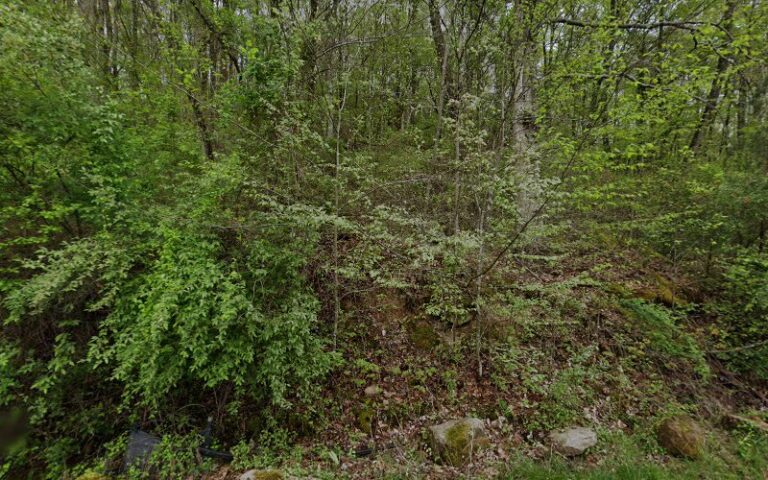 388762 sharon childers attorney 768x480