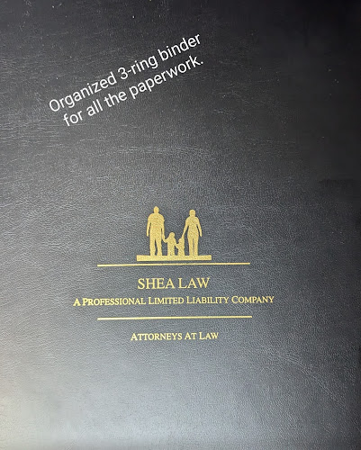 389293 shea law