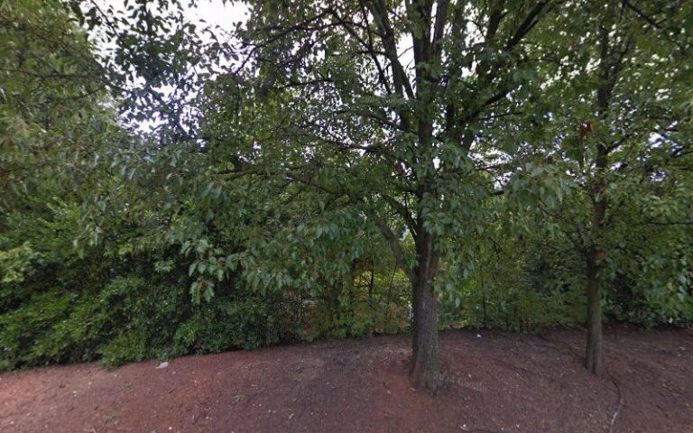 389303 shea maliszewski 768x480