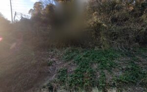 Feature image