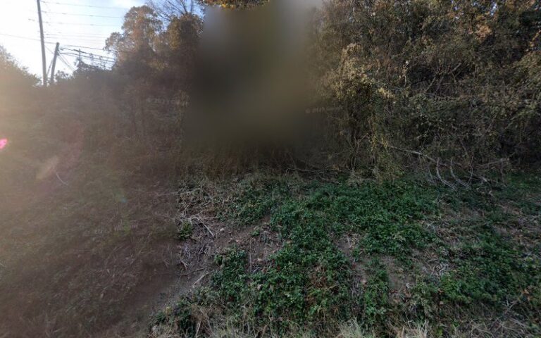 389787 shelton hager judy 768x480