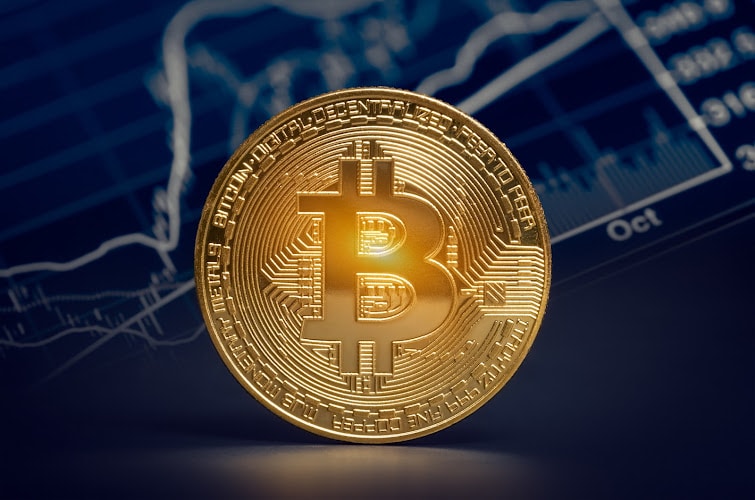390411 shield trusts