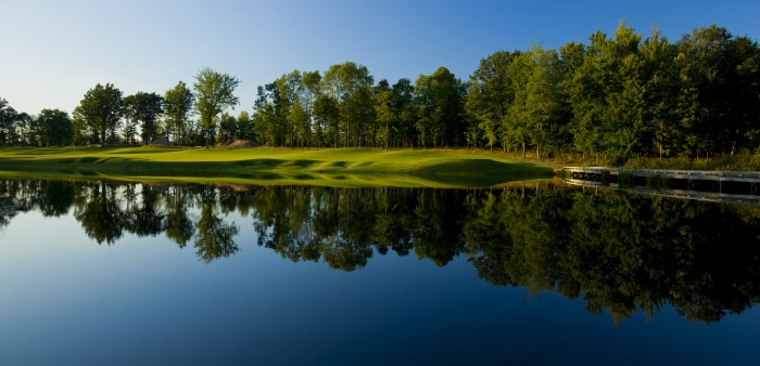 390461 shifman carlson p.c