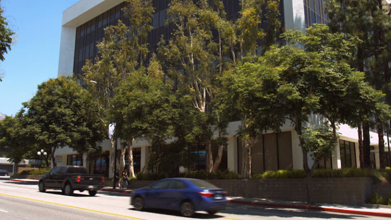 391979 silva injury law inc 768x432