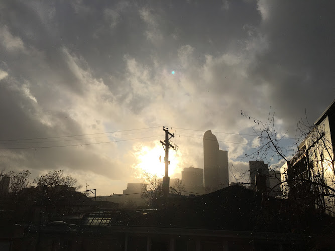 392615 simon law maui