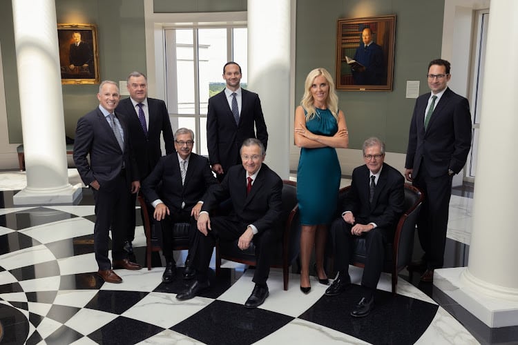 392979 sinas dramis law firm