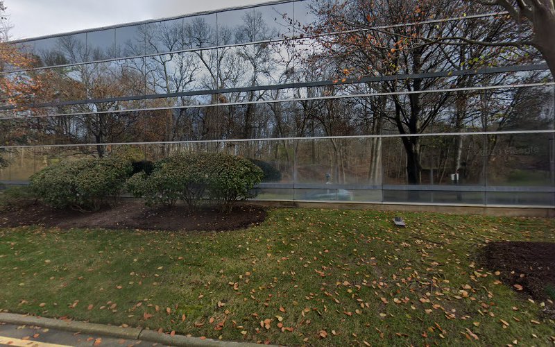 393148 singleton llc