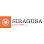 393236 siragusa law firm llc