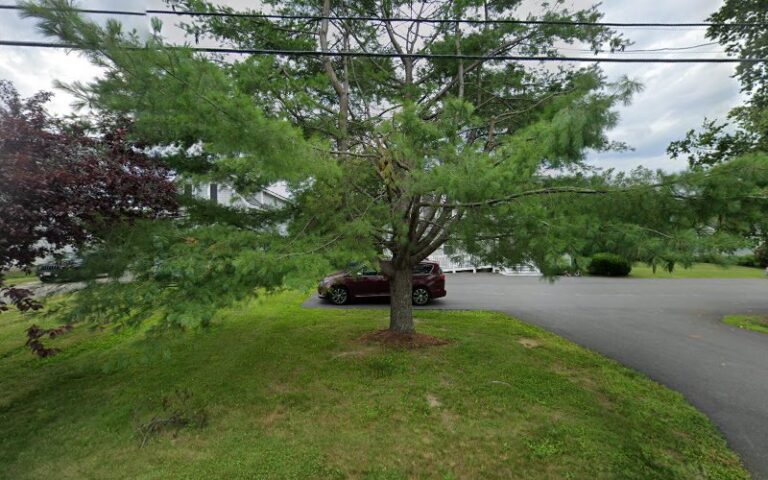 393539 skelton jane 768x480