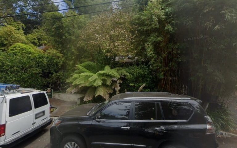 393736 skolnik steven 768x480